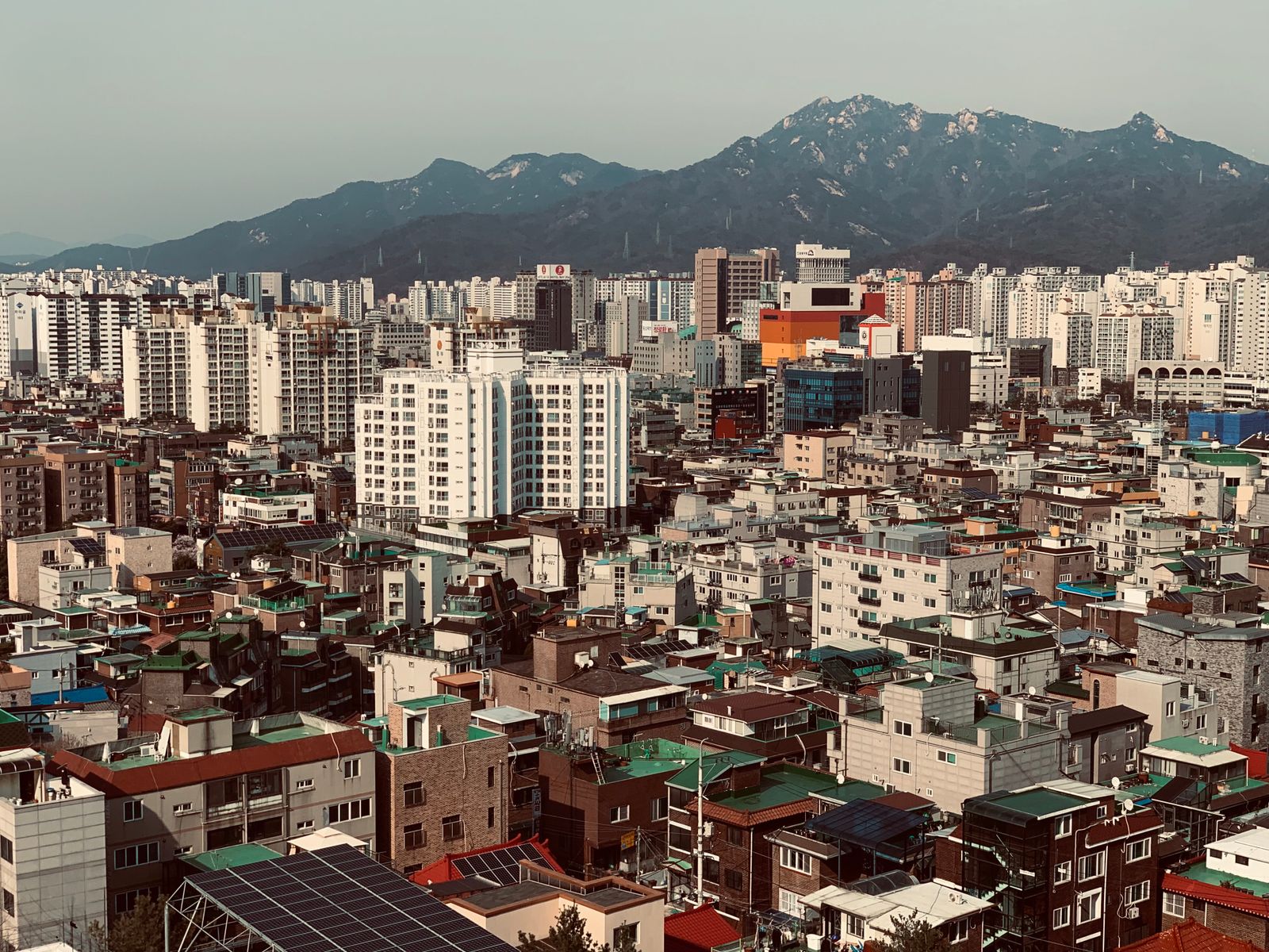 괄사마사지 2